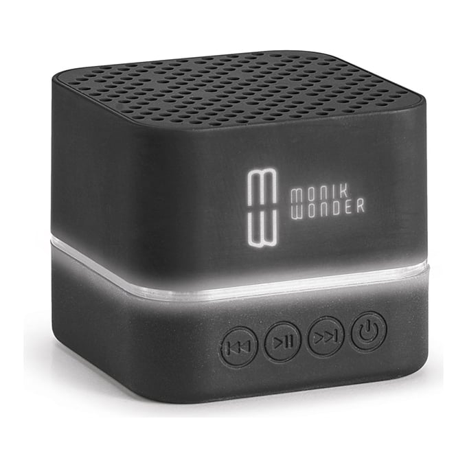 Speaker Lighting Logo